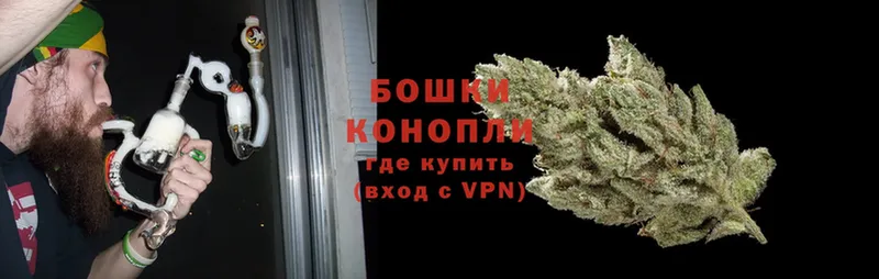 Бошки Шишки White Widow  цена наркотик  Елизово 